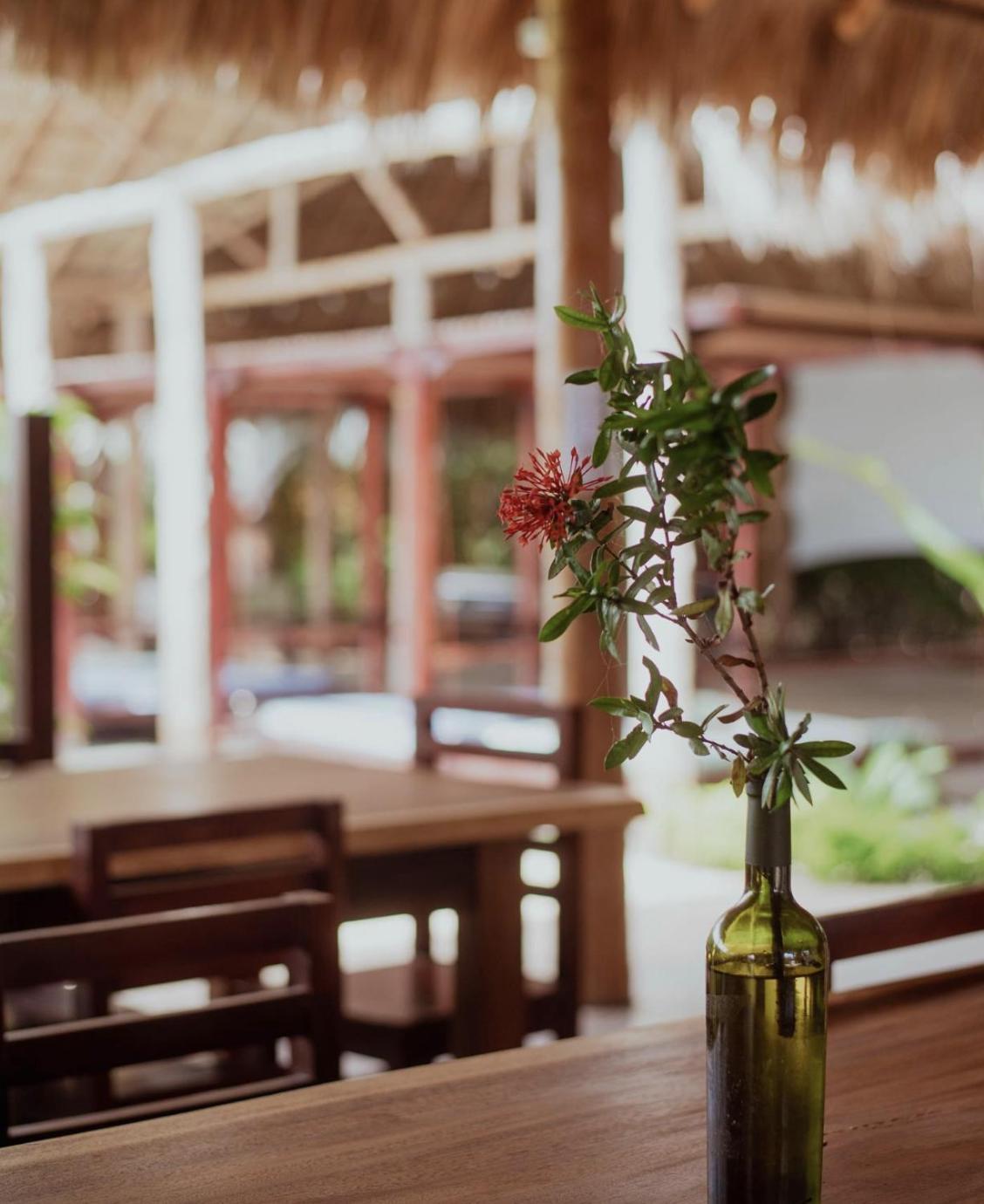 Hotel Ingigante Rivas Luaran gambar